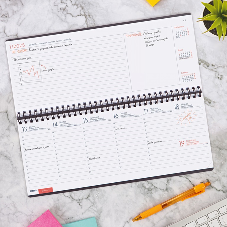 AGENDA PLANIFICADOR FINOCAM CON ESPIRAL 2025 SEMANA VISTA VERTICAL + NOTAS CASTELLANO 290X116MM